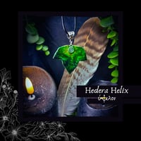 Image 2 of ☽ Hedera Helix ☾