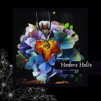 Image 3 of ☽ Hedera Helix ☾