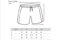 Image 5 of Brigada Shorts 
