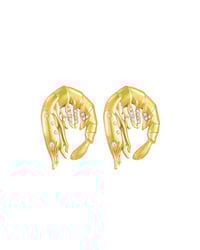 Shimmer Shrimp Earrings
