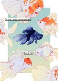 Image 3 of [Pre-Order] ACROSS THE POND Zine + Stickers