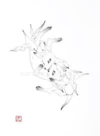 Image 1 of "Nestled" by Erika Sanada
