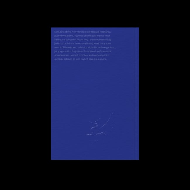 Odplouvám, nečekej – Nela Haluzová