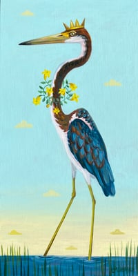 Tricolored Heron Jessamine