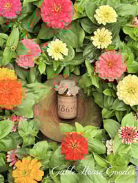 Era Jars ~The last of the Summery aromas