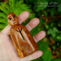 Image 2 of Wych Elm Protective Spirit (PS085)