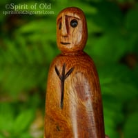 Image 5 of Wych Elm Protective Spirit (PS085)