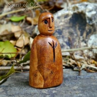 Image 8 of Wych Elm Protective Spirit (PS085)