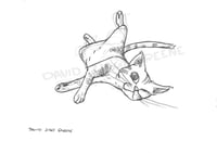Original drawing art! - Kitty