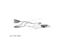 Original drawing art! - Sleeping Doggo