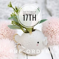 PRE-ORDER for Juli. Shipping October 17th.