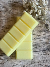 Image 1 of Simply the Zest Wax Melt Snap Bat