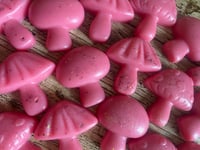 Pink Pineapple Sunrise Wax Melts (Pack of 6)