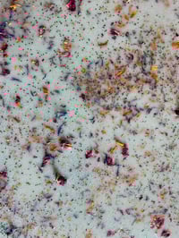 Image 2 of Mint Choc Chip Botanical Wax Brittle