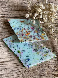 Image 1 of Mint Choc Chip Botanical Wax Brittle