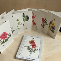 Image 1 of Set van 7 gevouwen A6 kaarten bloemen