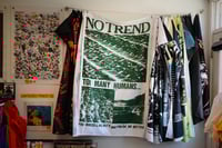 Image 2 of No Trend Flag
