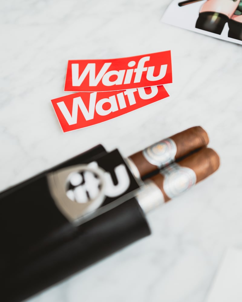 Image of Waifu Mini Sticker 2 Pack