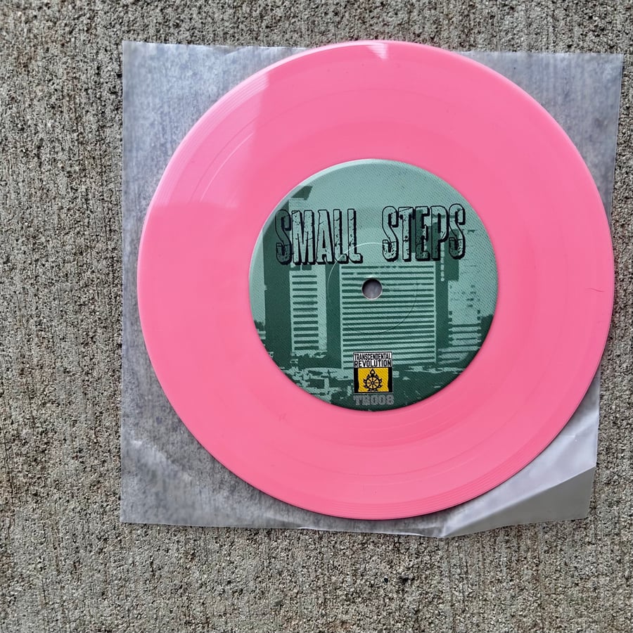 Image of Small Steps - "Lost In The Noise" 7" EP