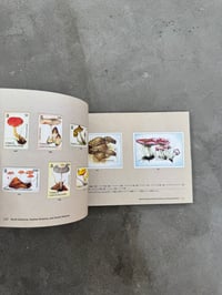 Image 16 of Around the World with Mushroom Stamps - Kotaro Lizawa