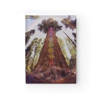 Image 1 of Redwood Journal