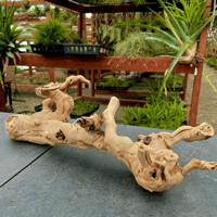 Image 1 of Sea Horizon  