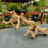 Image 2 of Sea Horizon  