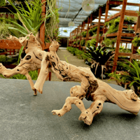 Image 3 of Sea Horizon  