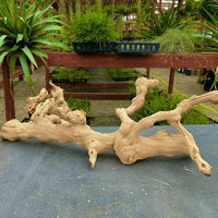 Image 3 of Saltwater Escape  