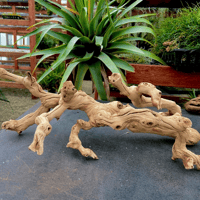 Image 2 of Saltwater Escape  