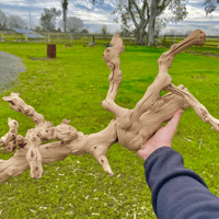 Image 1 of Saltwater Escape  