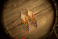 Image 1 of Rainbow Earrings 