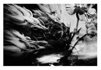 Image 4 of 【Pre-order now】Deluxe edition "濤声 -The Sound of Waves" (Shipping Included)