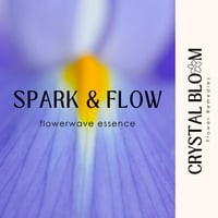 Image 1 of Spark & Flow