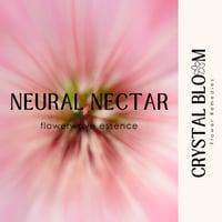 Image 1 of Neural Nectar