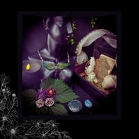 Image 2 of ☽ Castanea OrioniS ☾