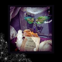 Image 6 of ☽ Castanea OrioniS ☾