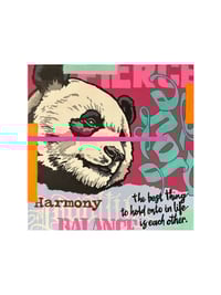 Image 1 of Harmony (panda)