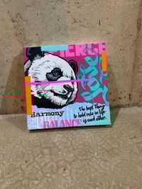 Image 2 of Harmony (panda)