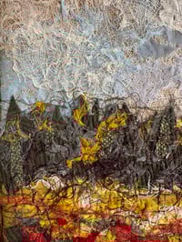 Image 2 of Red Poppy Field