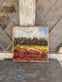 Image 5 of Red Poppy Field