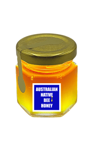 Image 1 of Australian Native Bee Honey 50g