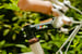 Image of Sim Works & 100 Tacos Rhonda Stem by Nitto