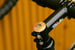 Image of Sim Works & 100 Tacos Rhonda Stem by Nitto