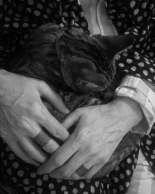 Image of Heaing ring