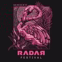 Image 4 of RDR25 FLAMINGO BLACK PREMIUM HOODIE
