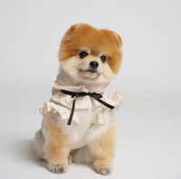 Image 2 of RUFFLE TOP 