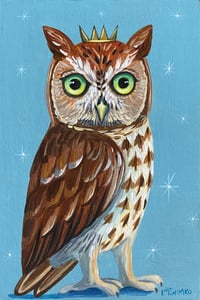 Screech Owl Stars