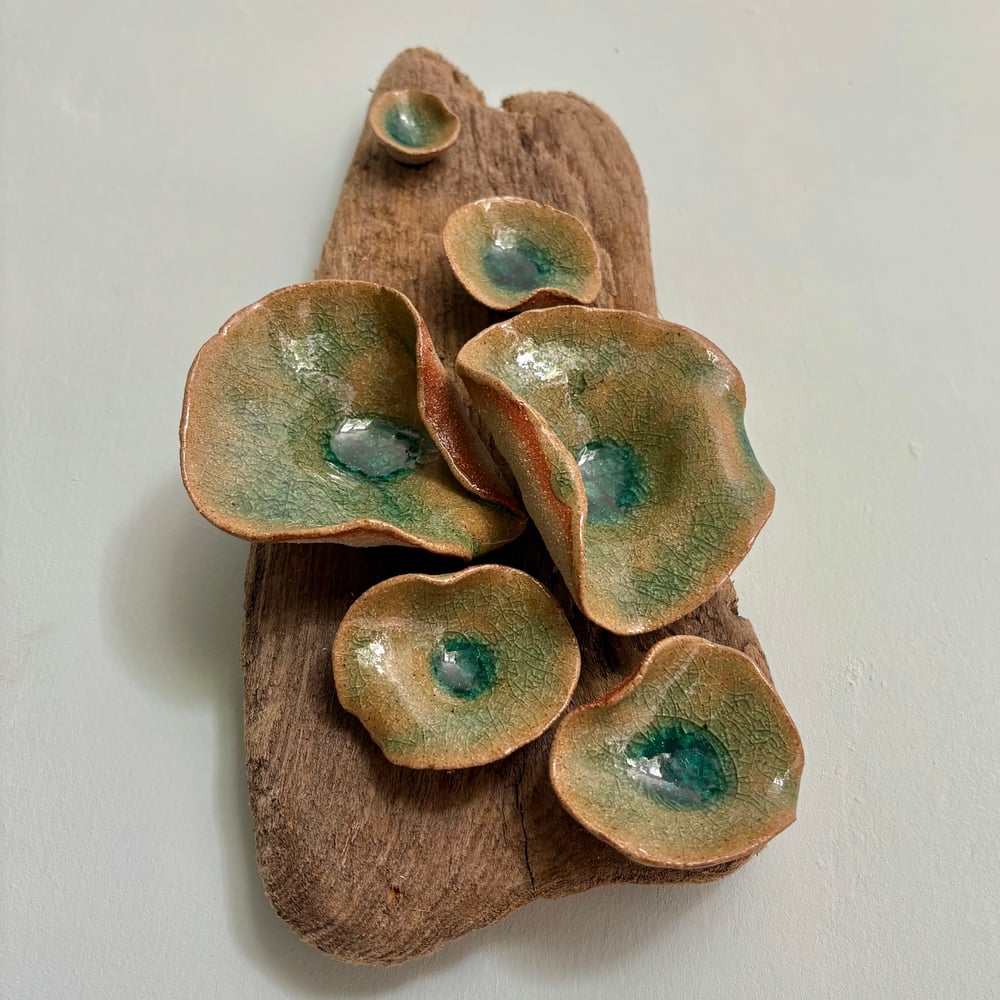 Image of Driftwood wall piece