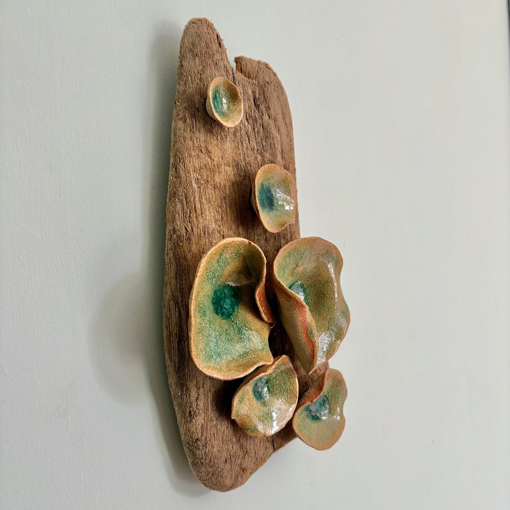 Image of Driftwood wall piece